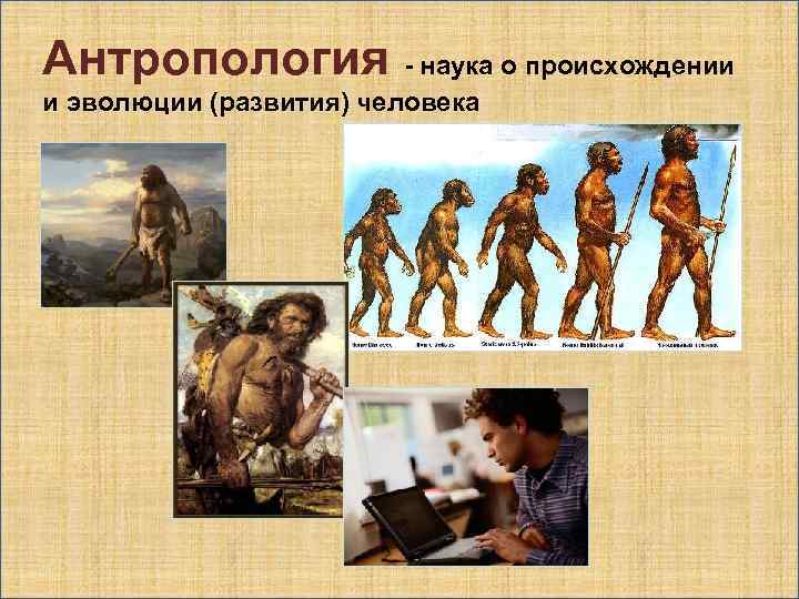 Антропология - наука о происхождении и эволюции (развития) человека 