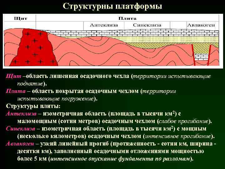 Структурны платформы Щит –область лишенная осадочного чехла (территории испытывающие поднятие). Плита – область покрытая