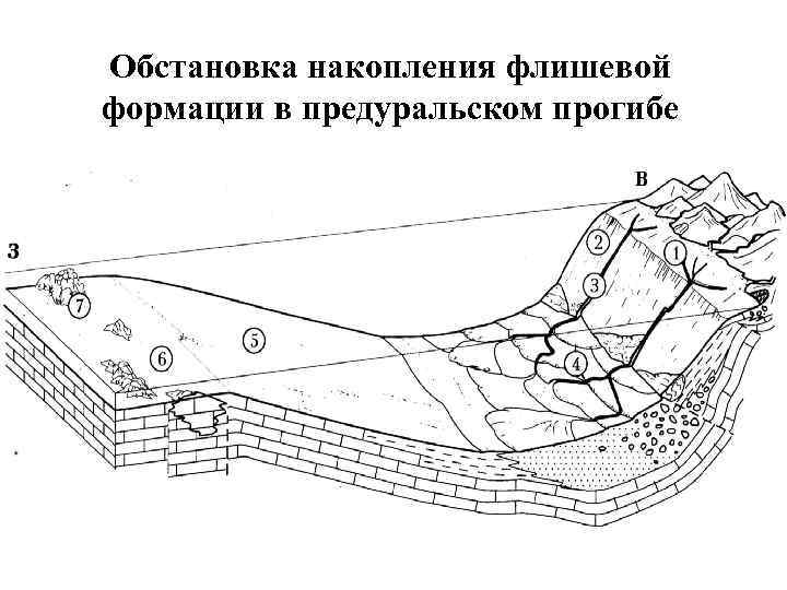 Обстановка накопления флишевой формации в предуральском прогибе 