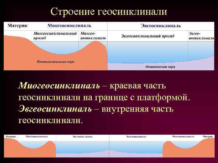 Строение геосинклинали Миогеосинклиналь – краевая часть геосинклинали на границе с платформой. Эвгеосинклиналь – внутренняя