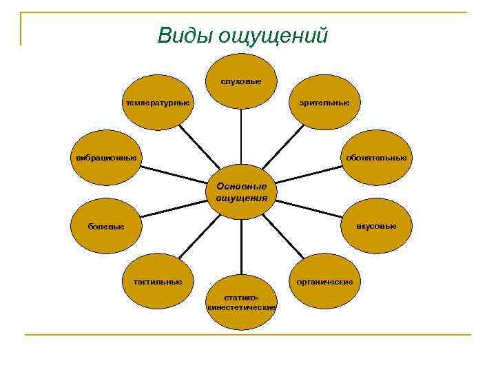 Образы ощущений. Виды ощущений в биологии. Виды ощущений картинки. Виды ощущений вибрационные. Виды ощущений по крутецкому.