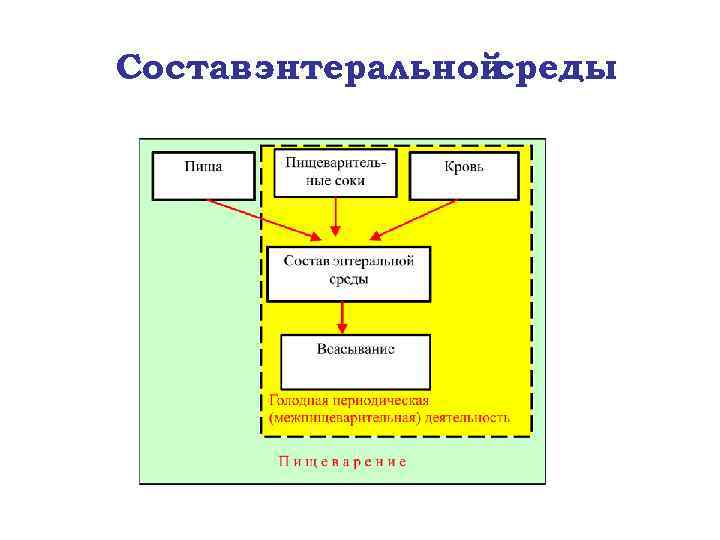 Состав энтеральной среды 