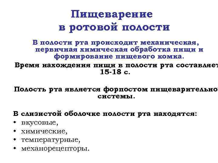 Пищеварение в ротовой полости В полости рта происходит механическая, первичная химическая обработка пищи и