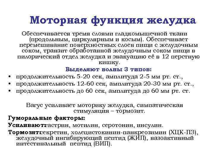 Моторная функция желудка Обеспечивается тремя слоями гладкомышечной ткани (продольным, циркулярным и косым). Обеспечивает перемешивание