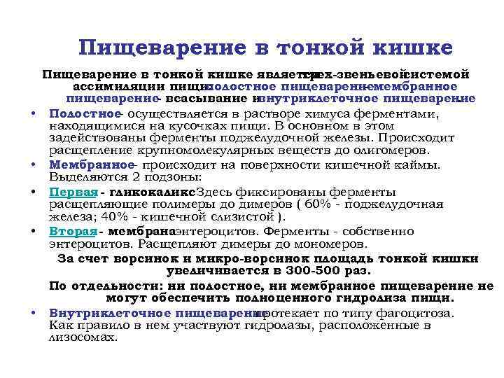 Пищеварение в тонкой кишке • • • Пищеварение в тонкой кишке является трех-звеньевой системой