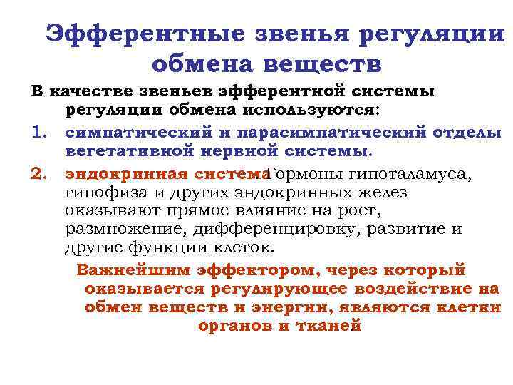 Эфферентные звенья регуляции обмена веществ В качестве звеньев эфферентной системы регуляции обмена используются: 1.