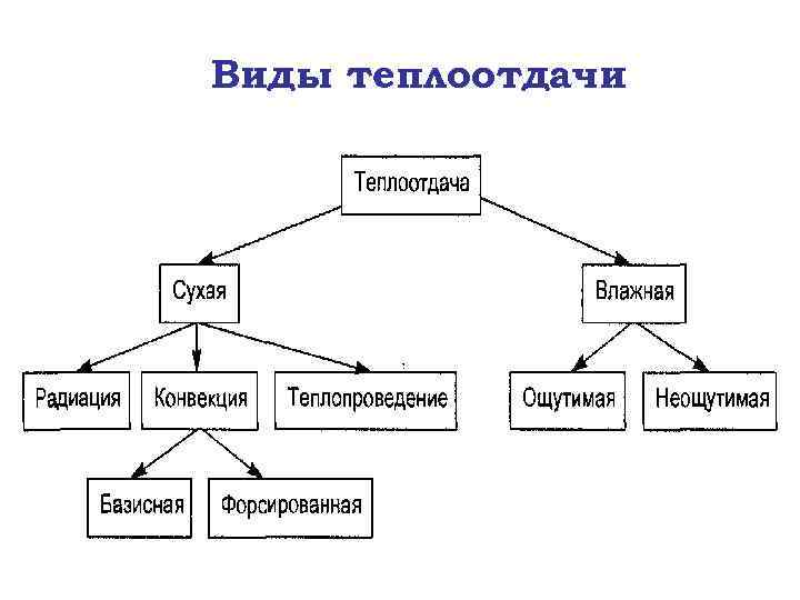 Виды теплоотдачи 