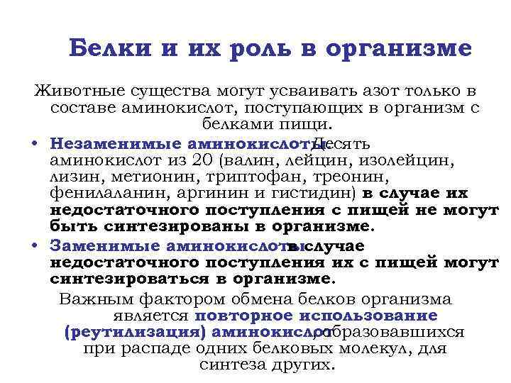 Белки и их роль в организме Животные существа могут усваивать азот только в составе