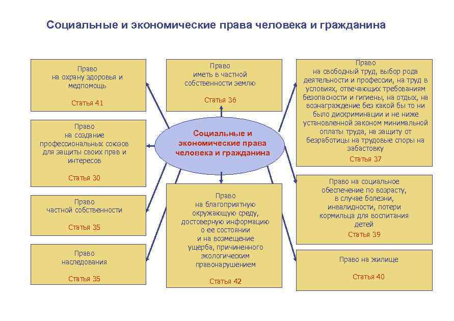 Социально экономические права граждан план