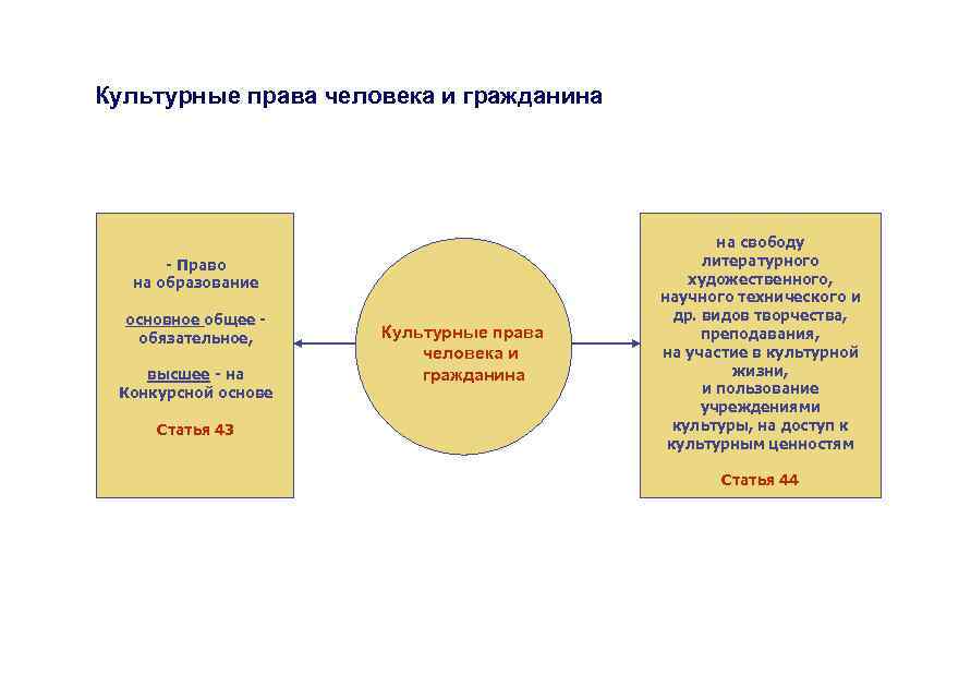 Экономические социальные и культурные права план