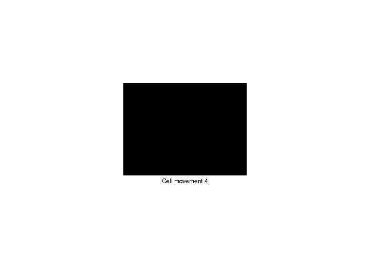 Cell movement 4 