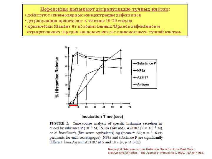 Дефенсины вызывают дегрануляцию тучных клеток: • действуют наномолярные концентрации дефенсинов • дегрануляция происходит в