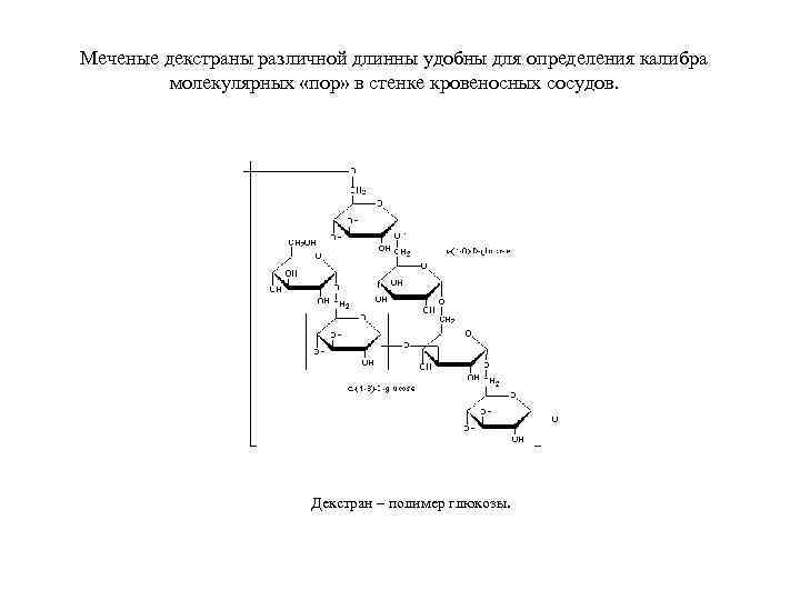 Меченые декстраны различной длинны удобны для определения калибра молекулярных «пор» в стенке кровеносных сосудов.