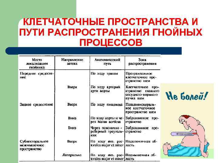 КЛЕТЧАТОЧНЫЕ ПРОСТРАНСТВА И ПУТИ РАСПРОСТРАНЕНИЯ ГНОЙНЫХ ПРОЦЕССОВ 