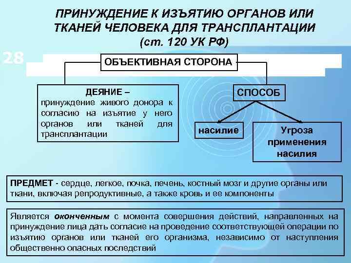 28 ПРИНУЖДЕНИЕ К ИЗЪЯТИЮ ОРГАНОВ ИЛИ ТКАНЕЙ ЧЕЛОВЕКА ДЛЯ ТРАНСПЛАНТАЦИИ (ст. 120 УК РФ)