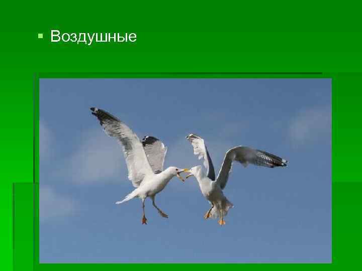 § Воздушные 