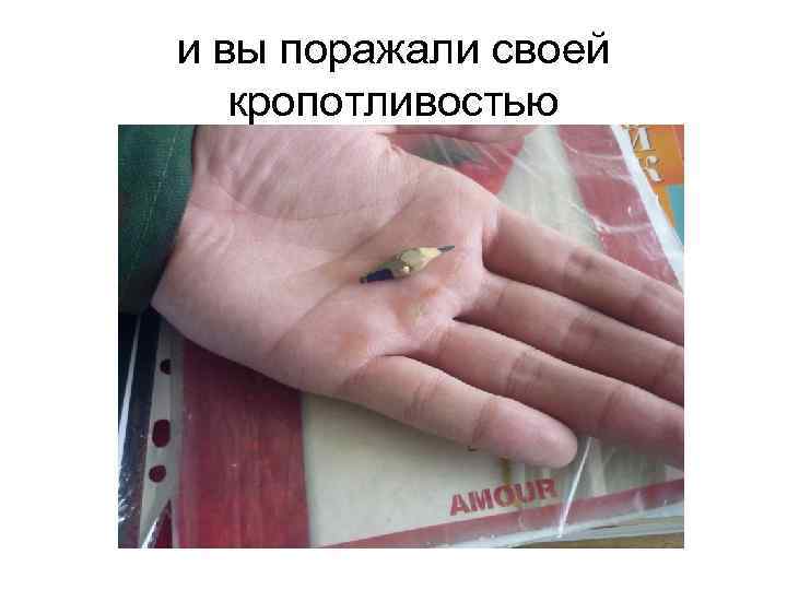 и вы поражали своей кропотливостью 