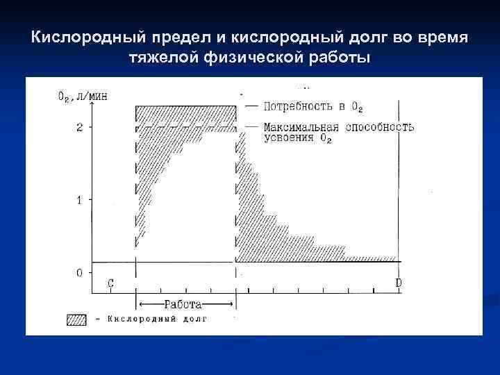 Кислородный предел и кислородный долг во время тяжелой физической работы 