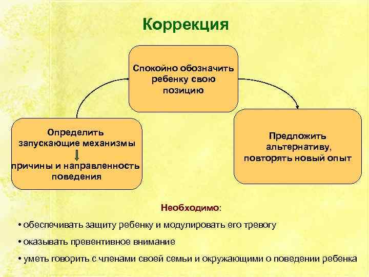 Коррекция Спокойно обозначить ребенку свою позицию Определить запускающие механизмы Предложить альтернативу, повторять новый опыт