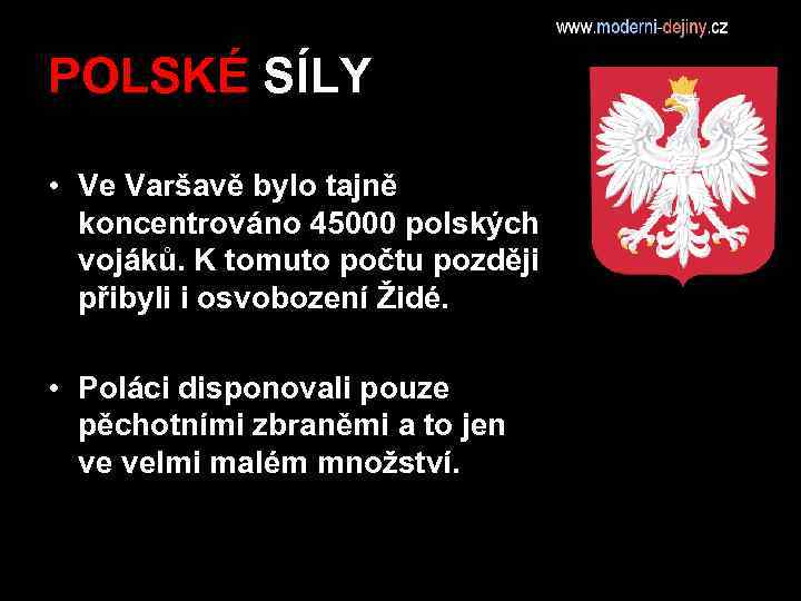 POLSKÉ SÍLY • Ve Varšavě bylo tajně koncentrováno 45000 polských vojáků. K tomuto počtu