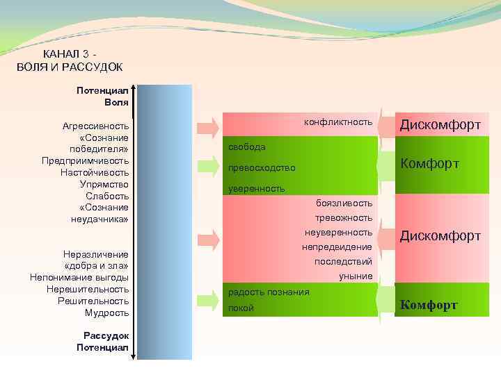 КАНАЛ 3 ВОЛЯ И РАССУДОК Потенциал Воля Агрессивность «Сознание победителя» Предприимчивость Настойчивость Упрямство Слабость