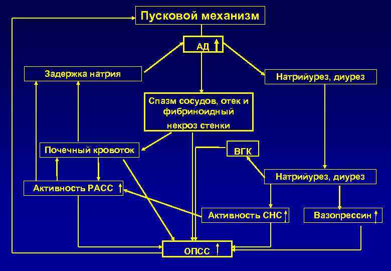 Пусковой механизм АД Задержка натрия Натрийурез, диурез Спазм сосудов, отек и фибриноидный некроз стенки