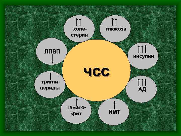 холестерин глюкоза ЛПВП триглицериды инсулин чсс АД гематокрит ИМТ 