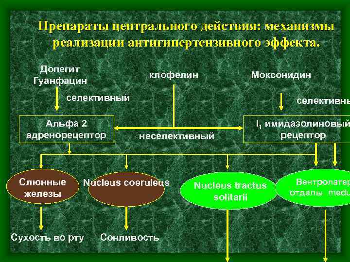 Препараты центрального действия: механизмы реализации антигипертензивного эффекта. Допегит Гуанфацин клофелин Моксонидин селективный Альфа 2