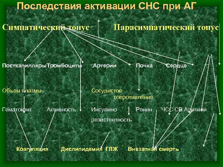 Последствия активации СНС при АГ Симпатический тонус Парасимпатический тонус Посткапилляры. Тромбоциты . Артерии Объем