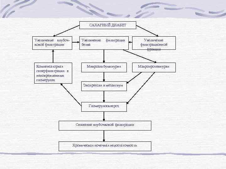 САХАРНЫЙ ДИАБЕТ Увеличение клубочковой фильтрации Компенсаторная гиперфильтрация в неповрежденных гломерулах Увеличение белка фильтрации Микроальбуминурия