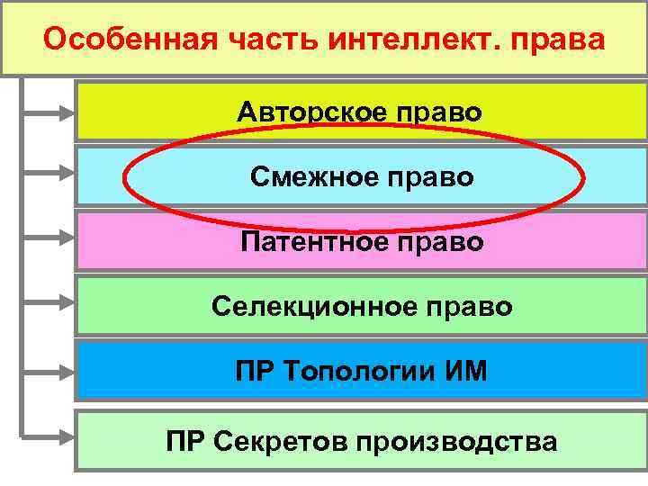 Особенная часть интеллект. права Авторское право Смежное право Патентное право Селекционное право ПР Топологии
