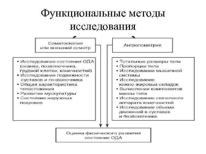 Функциональные методы исследования