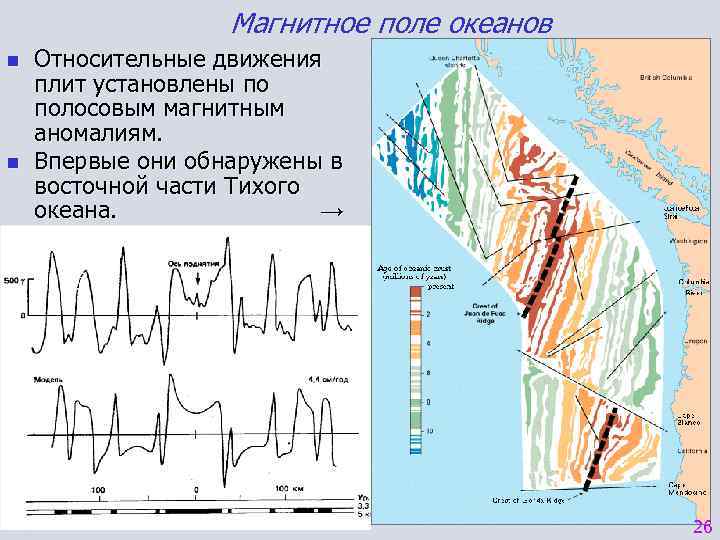Магнитное поле океанов n n Относительные движения плит установлены по полосовым магнитным аномалиям. Впервые