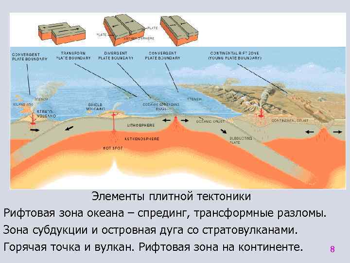 Элементы плитной тектоники Рифтовая зона океана – спрединг, трансформные разломы. Зона субдукции и островная