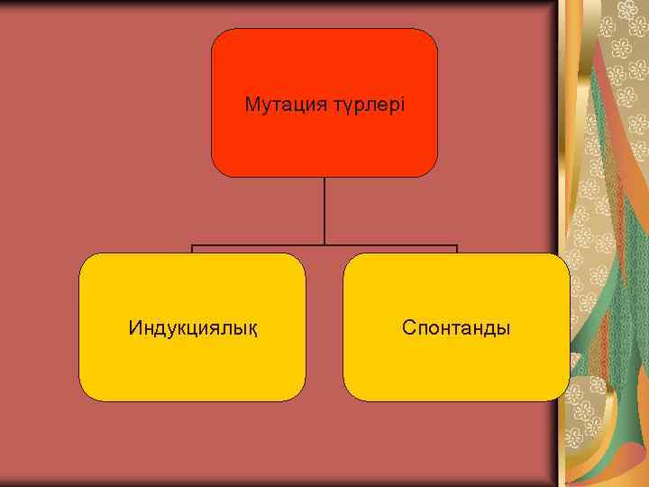 Мутация түрлері Индукциялық Спонтанды 