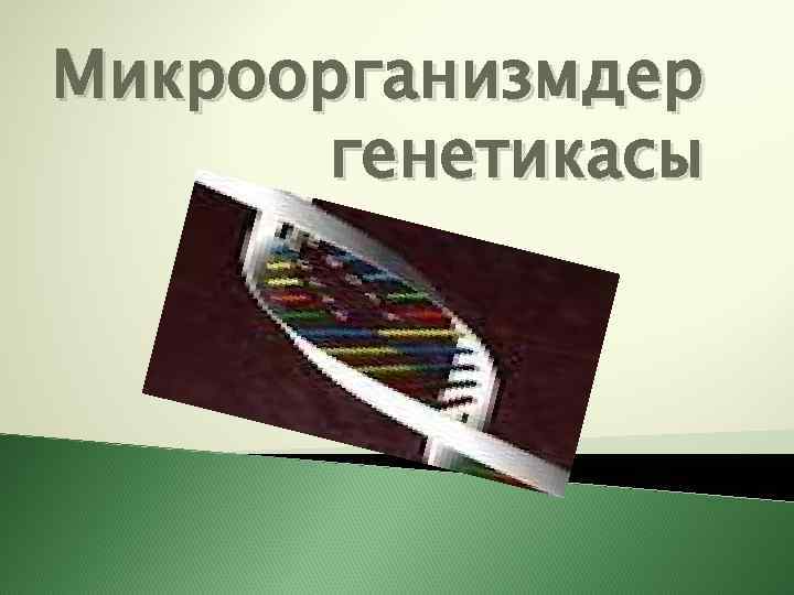 Микроорганизмдер генетикасы 