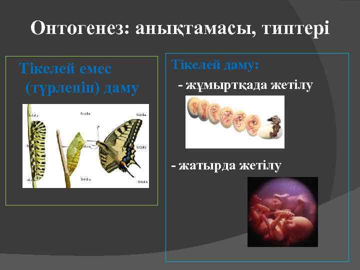 Онтогенез: анықтамасы, типтері Тікелей емес (түрленіп) даму Тікелей даму: - жұмыртқада жетілу - жатырда