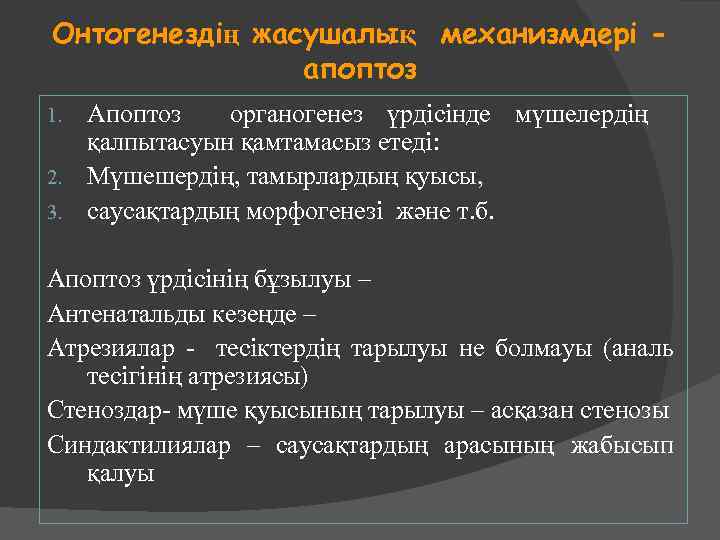 Онтогенездің жасушалық механизмдері апоптоз Апоптоз органогенез үрдісінде мүшелердің қалпытасуын қамтамасыз етеді: 2. Мүшешердің, тамырлардың