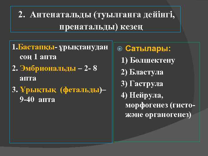 2. Антенатальды (туылғанға дейінгі, пренатальды) кезең 1. Бастапқы- ұрықтанудан соң 1 апта 2. Эмбриональды