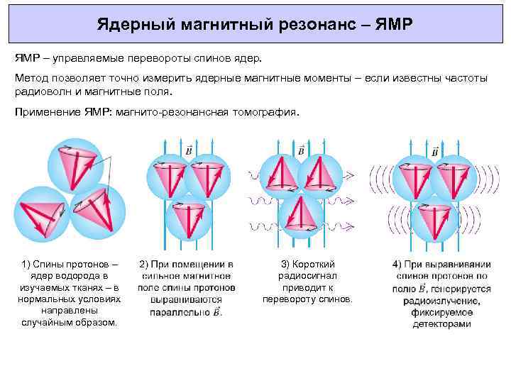 Ядерно магнитная. Ядерный магнитный резонанс сущность метода. 3.1. Ядерный магнитный резонанс. Метод ядерно-магнитного резонанса (ЯМР-томография).. ЯМР принцип метода.