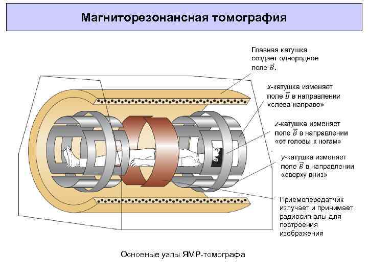 Часть 2 устройство и принципы работы компьютерного томографа андрей мангов