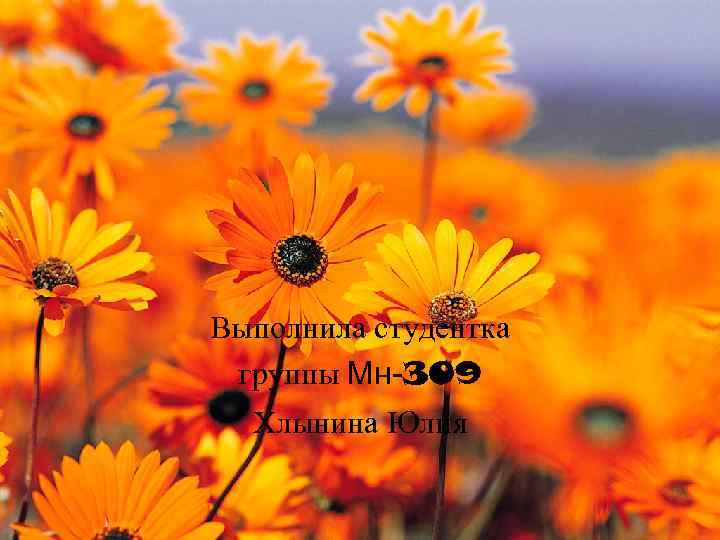 Выполнила студентка группы Мн-309 Хлынина Юлия 