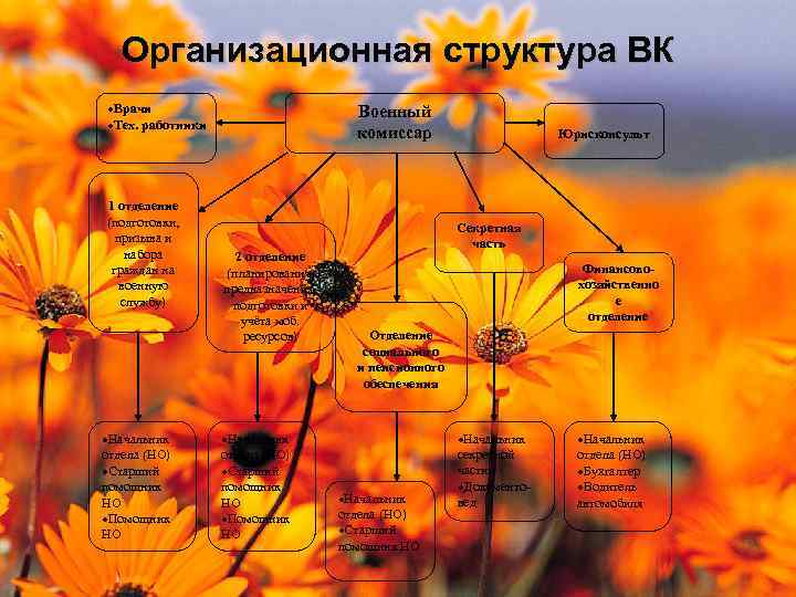 Организационная структура ВК ·Врачи ·Тех. работники 1 отделение (подготовки, призыва и набора граждан на