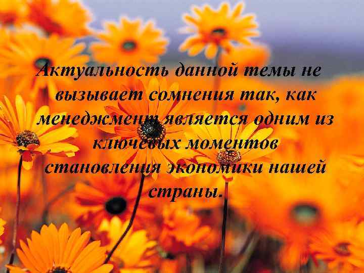 Актуальность данной темы не вызывает сомнения так, как менеджмент является одним из ключевых моментов