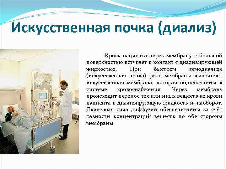 Искусственная почка (диализ) Кровь пациента через мембрану с большой поверхностью вступает в контакт с