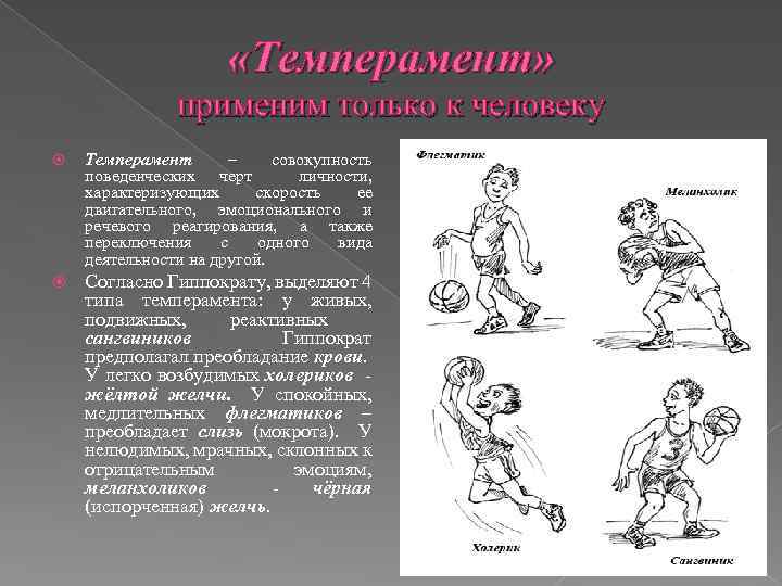  «Темперамент» применим только к человеку Темперамент – совокупность поведенческих черт личности, характеризующих скорость