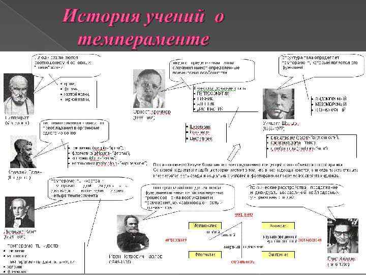 История учений о темпераменте 