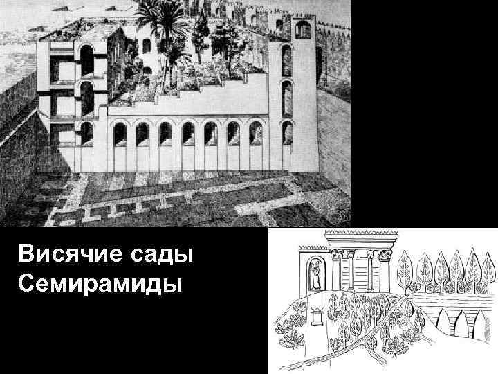 Висячие сады Семирамиды 
