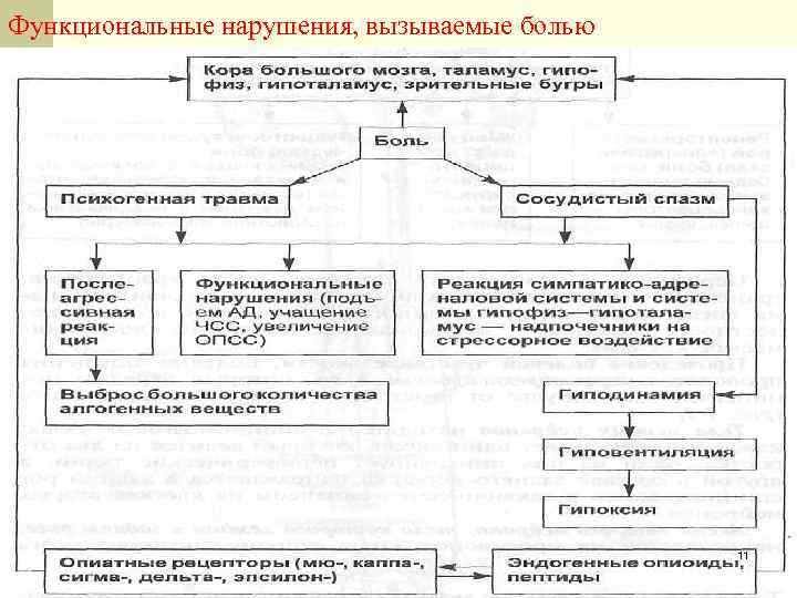 Функциональные нарушения, вызываемые болью 11 