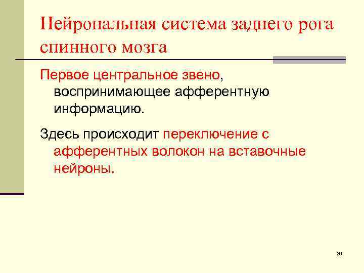 Нейрональная система заднего рога спинного мозга Первое центральное звено, воспринимающее афферентную информацию. Здесь происходит
